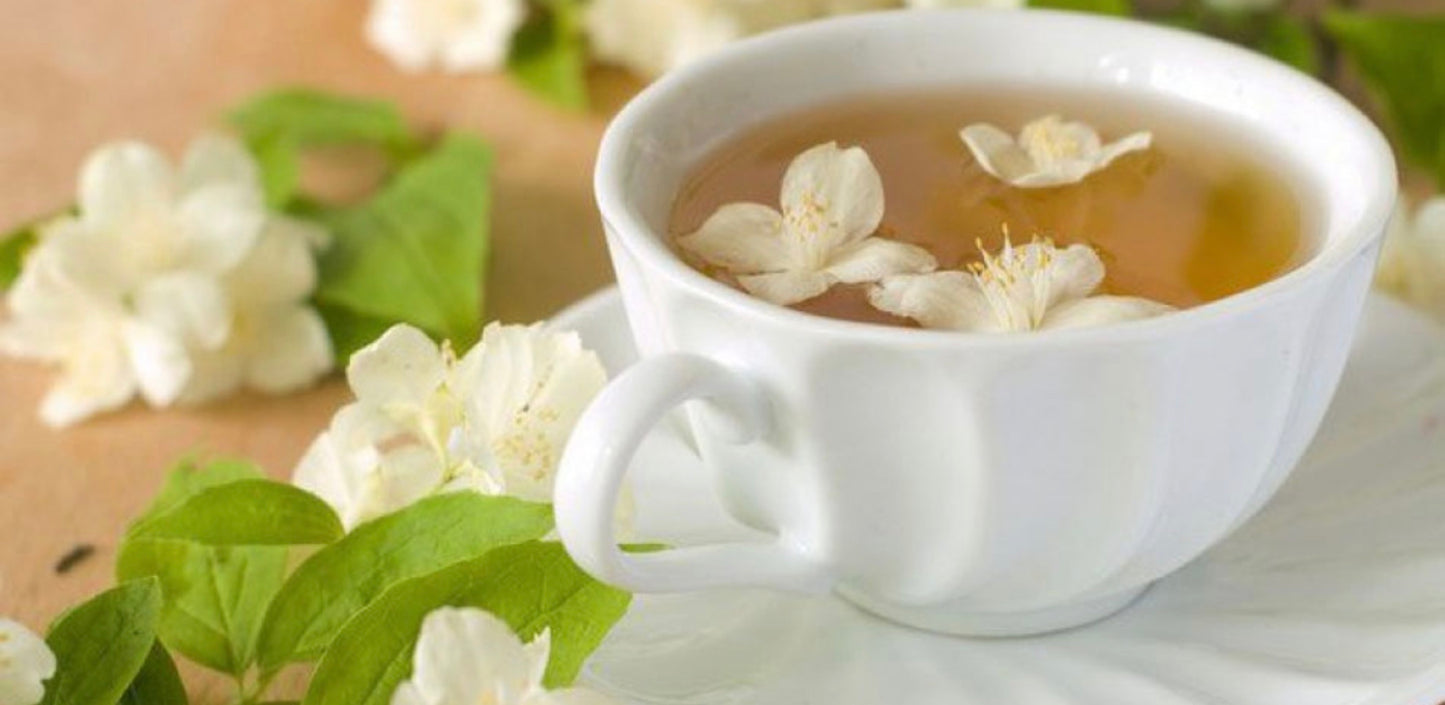 Oolong Jasmin